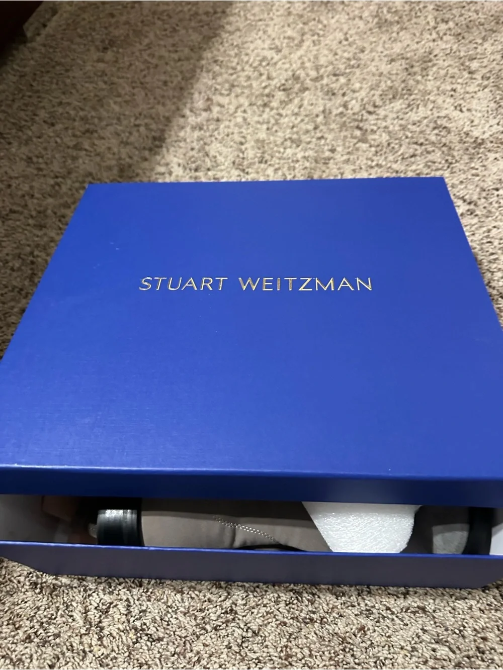Stuart Weitzman sleek over